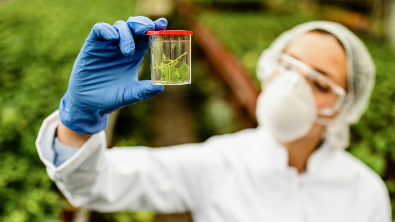 BHP w służbie zdrowia – jak chronić personel przed zagrożeniami biologicznymi?